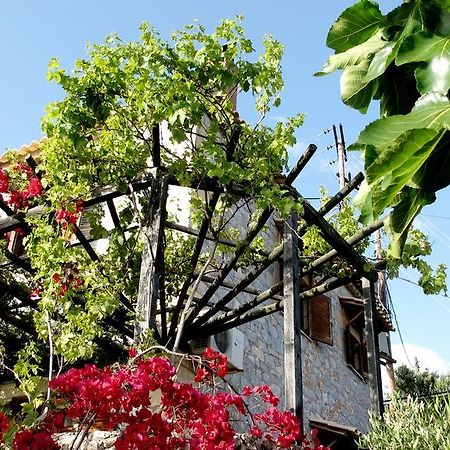 Papanestoras Apartments Kardamyli Zewnętrze zdjęcie