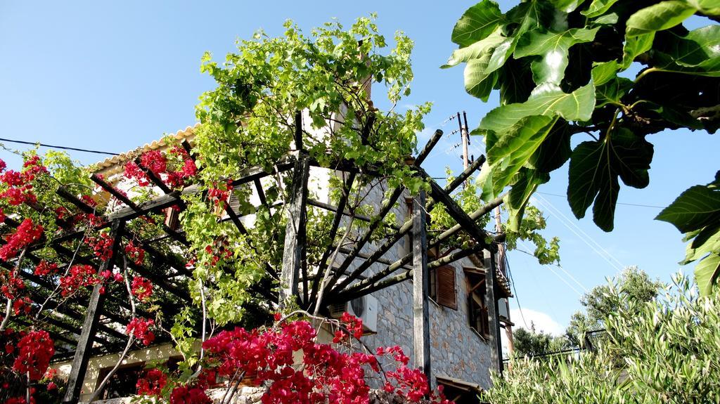 Papanestoras Apartments Kardamyli Zewnętrze zdjęcie